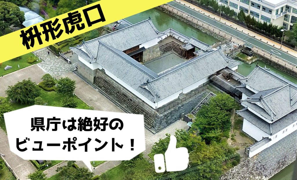 駿府城は〇〇から見ると面白い！プロが教えるビューポイント│レキシ